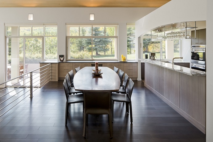 Modern Kitchen and Dining Room